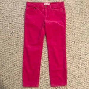 Size 0 vineyard vines hot pink velveteen pants EUC